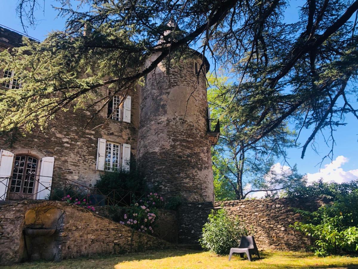 Le Chateau De Cambiaire Saint-Etienne-Vallee-Francaise ภายนอก รูปภาพ