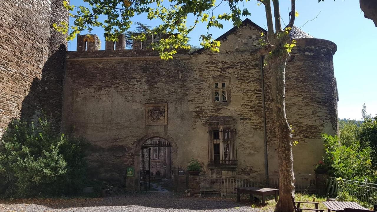 Le Chateau De Cambiaire Saint-Etienne-Vallee-Francaise ภายนอก รูปภาพ