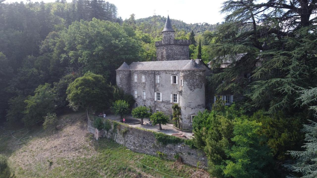 Le Chateau De Cambiaire Saint-Etienne-Vallee-Francaise ภายนอก รูปภาพ